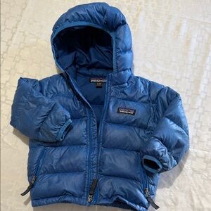 Patagonia Shiny Blue Puffer Jacket